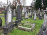 image of grave number 445555